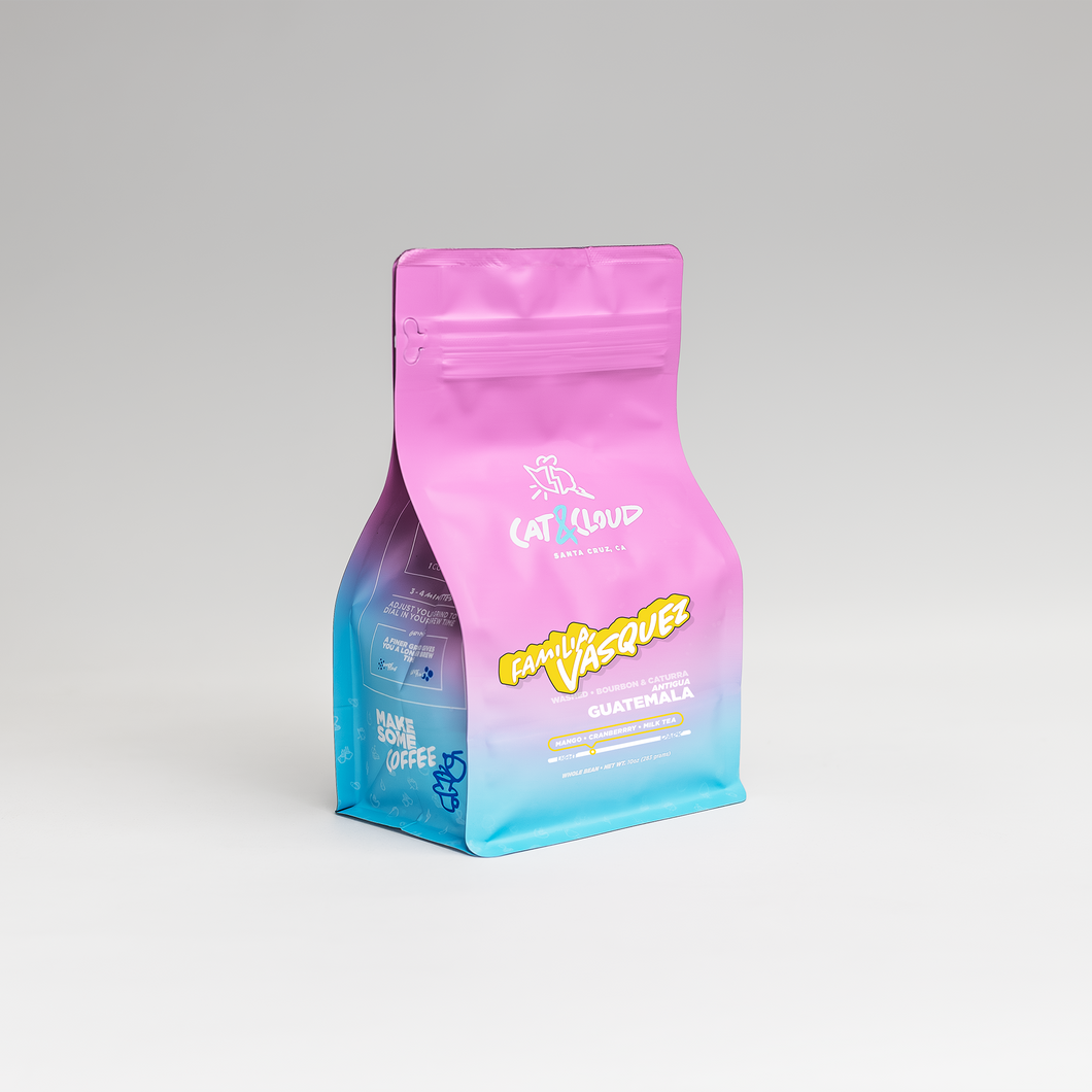 Guatemala Familia Vasquez